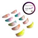 Colibri Silicone Curl Shields  5 Tamaños para Lifting Perfecto